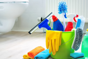 Messie Reinigung Neustadt Am Rübenberge