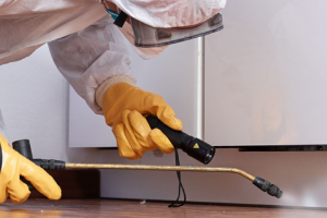 Messie Schädlingsbekämpfung Neustadt Am Rübenberge